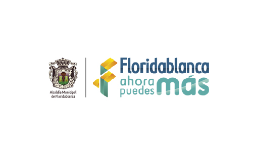 Mesa-de-trabajo-1-copia-29-100